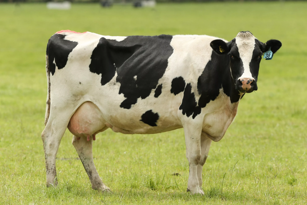 Снимок экрана 2025-09-30 103903.png